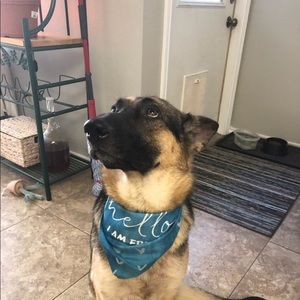 Meet your Posher, John